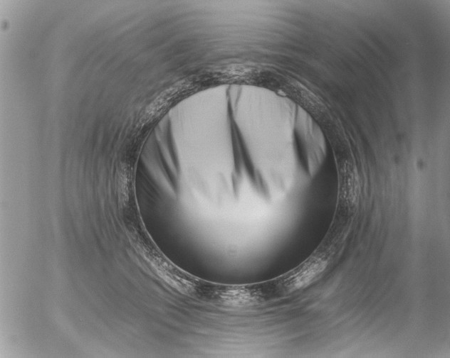 X0000054430562200508262350