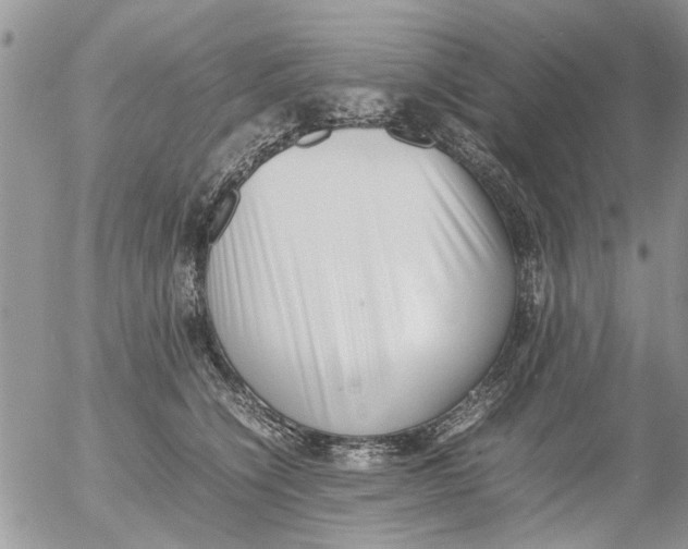 X0000054430564200508262350