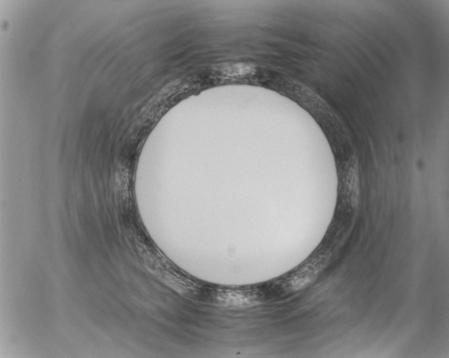 X0000054430565200508262350