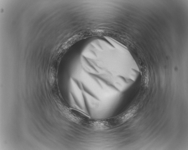 X0000054430566200508262350