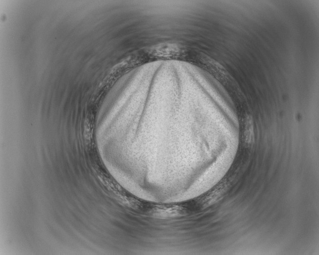 X0000054430569200508262350