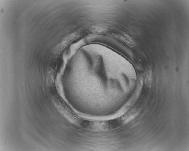 X0000054430570200508262350