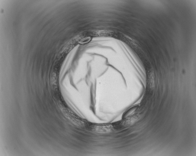 X0000054430571200508262350