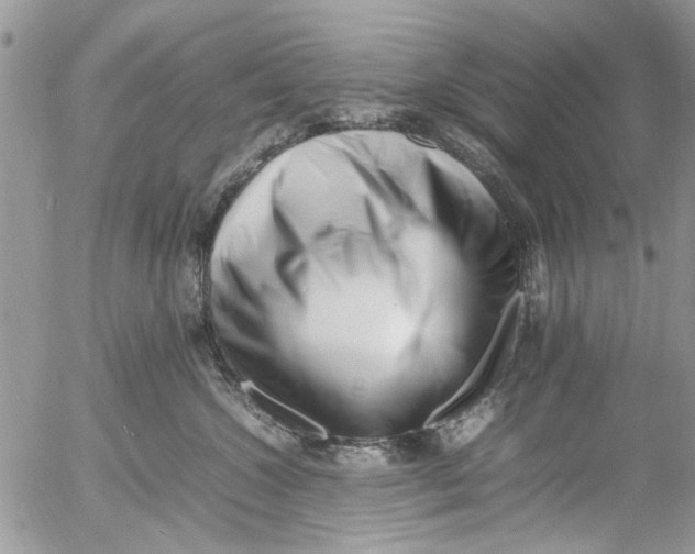 X0000054430572200508262350