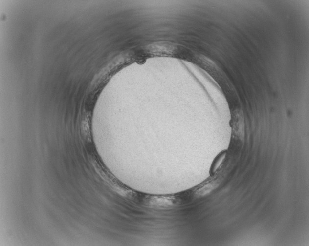 X0000054430573200508262350