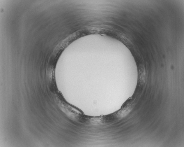 X0000054430574200508262350