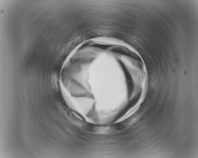 X0000054430575200508262350