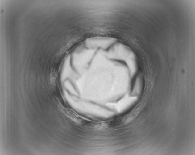 X0000054430576200508262350