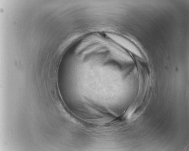 X0000054430577200508262350