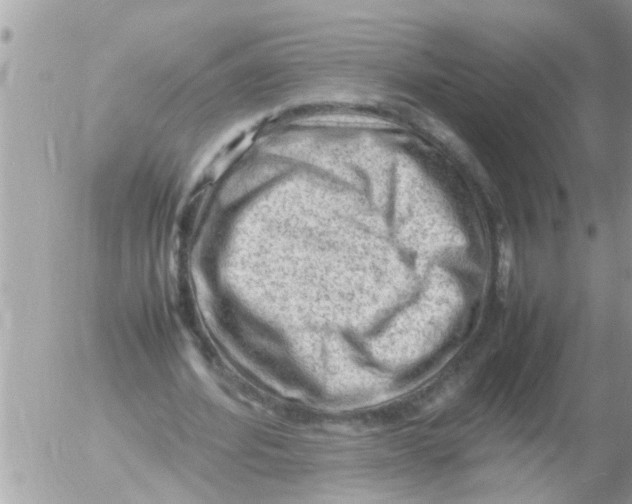 X0000054430580200508262350