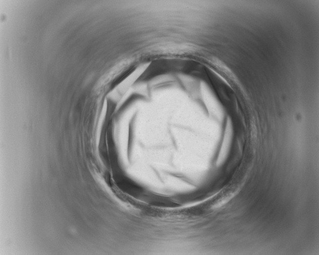 X0000054430581200508262350