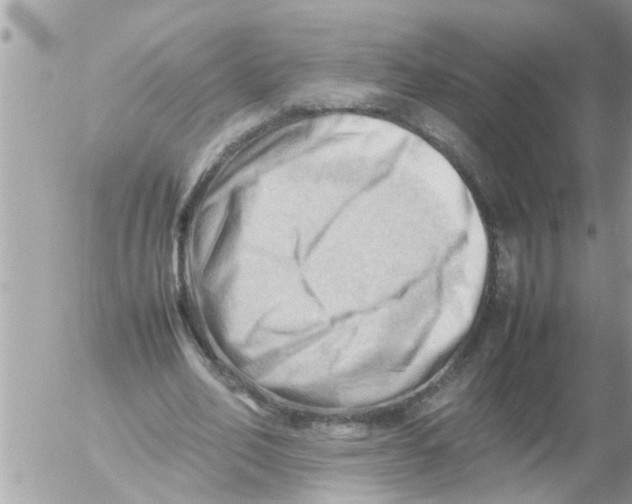 X0000054430582200508262350