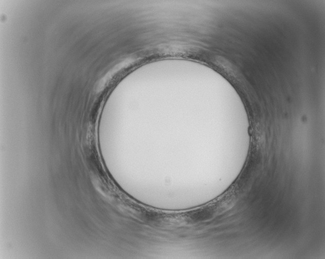 X0000054430583200508262350