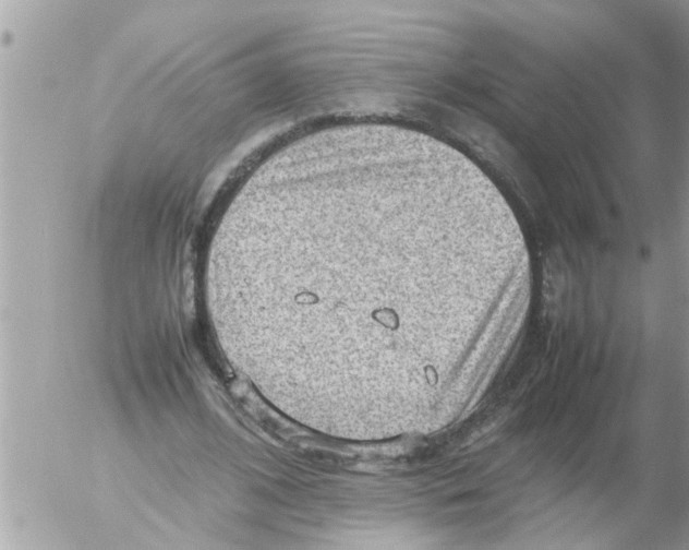 X0000054430584200508262350