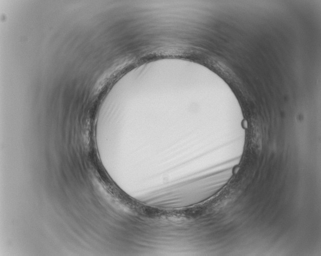 X0000054430586200508262349