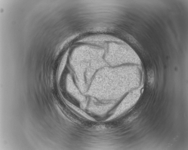 X0000054430588200508262349