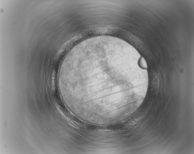 X0000054430590200508262349