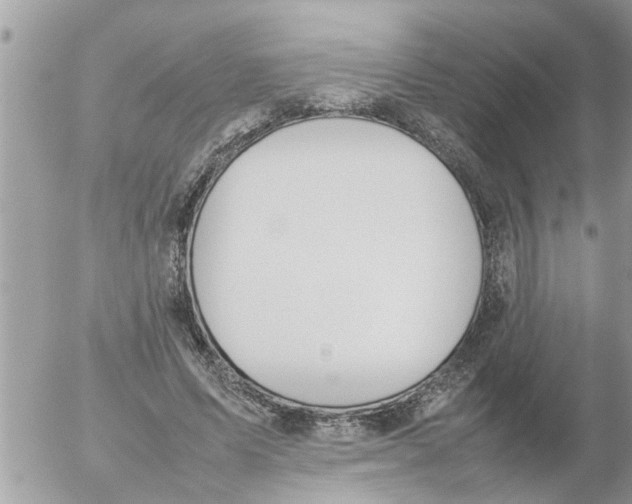 X0000054430591200508262349