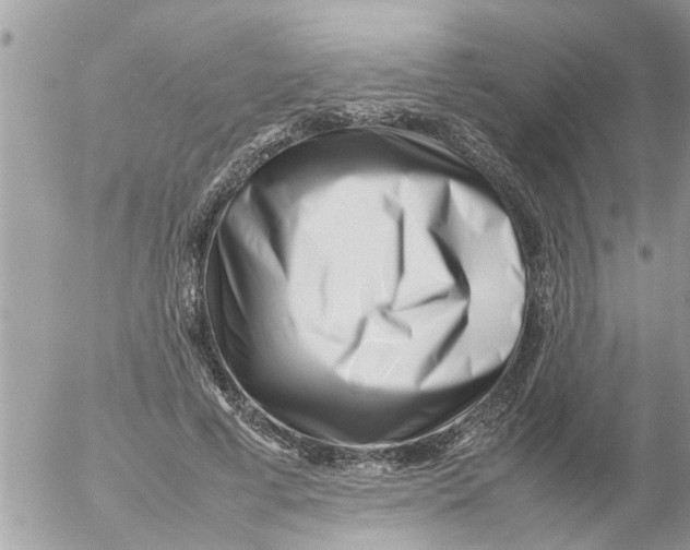 X0000054430593200508262349