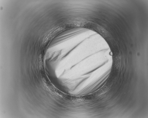 X0000054430594200508262349