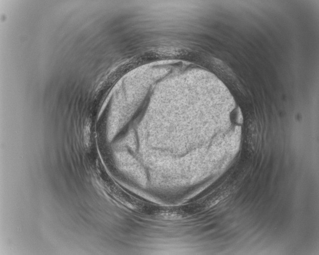 X0000054430596200508262349