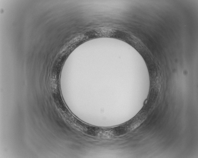 X0000054430599200508262349