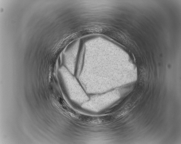 X0000054430600200508262349