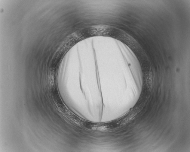 X0000054430602200508262349