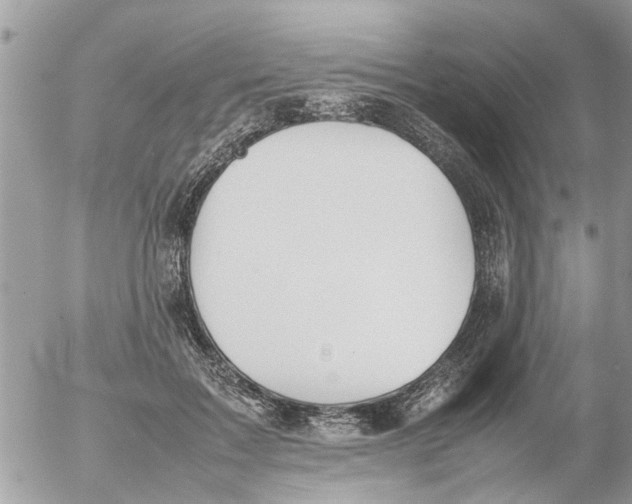 X0000054430603200508262349