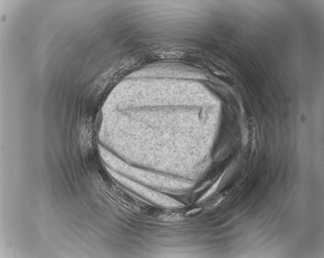 X0000054430604200508262349