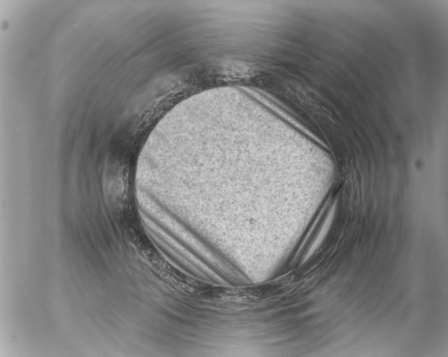 X0000054430608200508262349