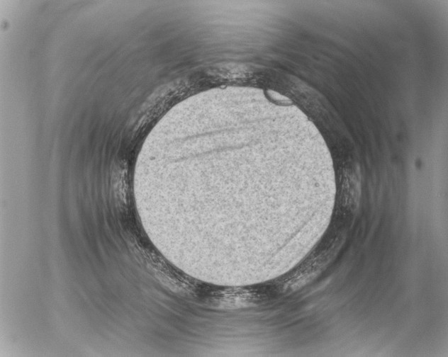 X0000054430612200508262349