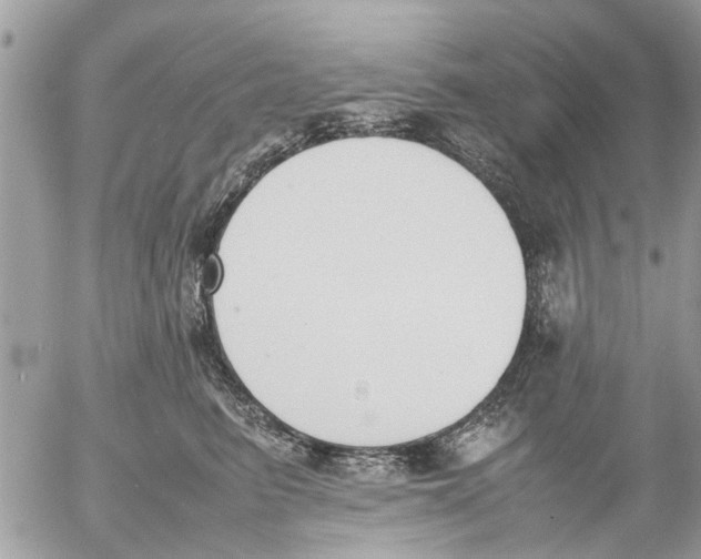 X0000054430615200508262349