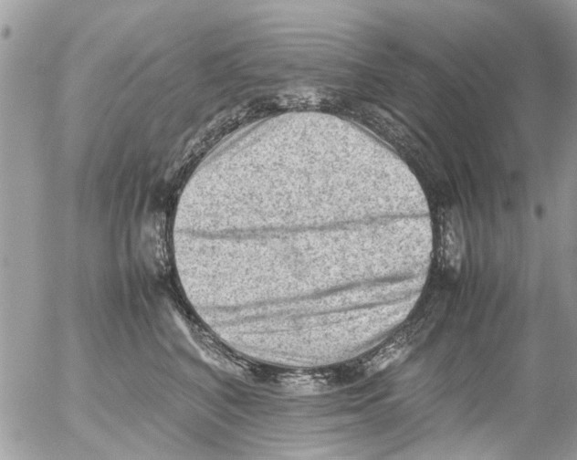 X0000054430616200508262349