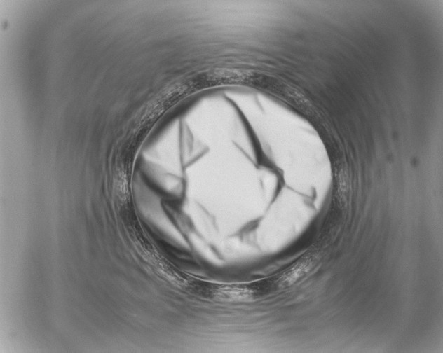 X0000054430617200508262349