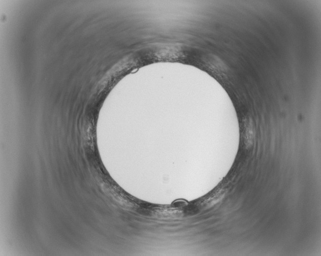 X0000054430619200508262349