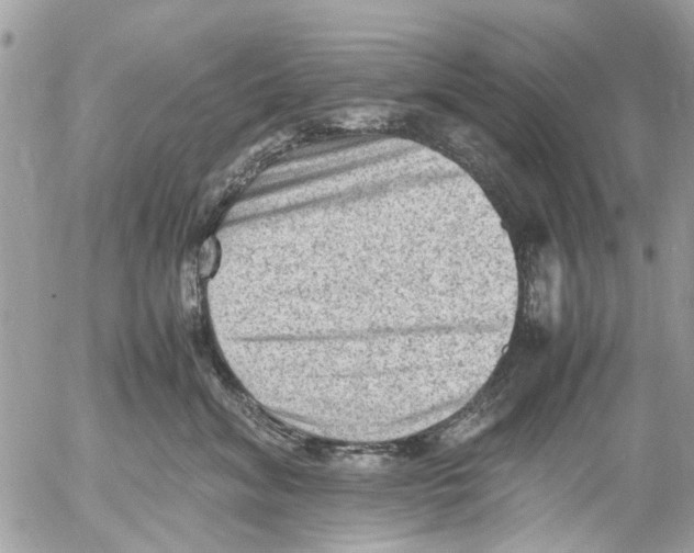 X0000054430620200508262349