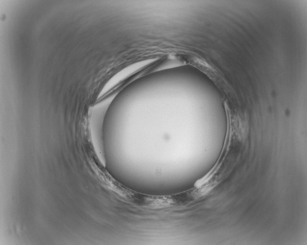 X0000054430621200508262349