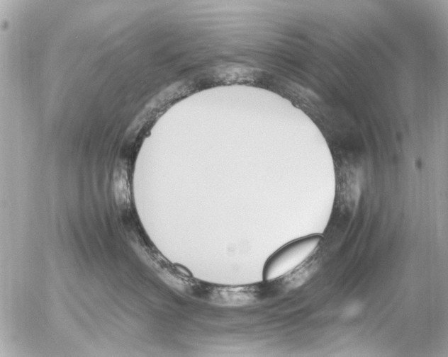 X0000054430622200508262349