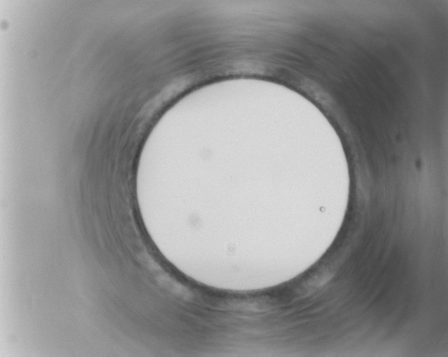 X0000054430625200508262348