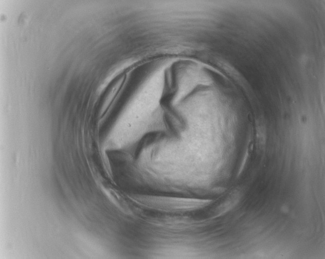 X0000054430626200508262348