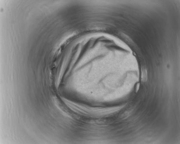 X0000054430627200508262348