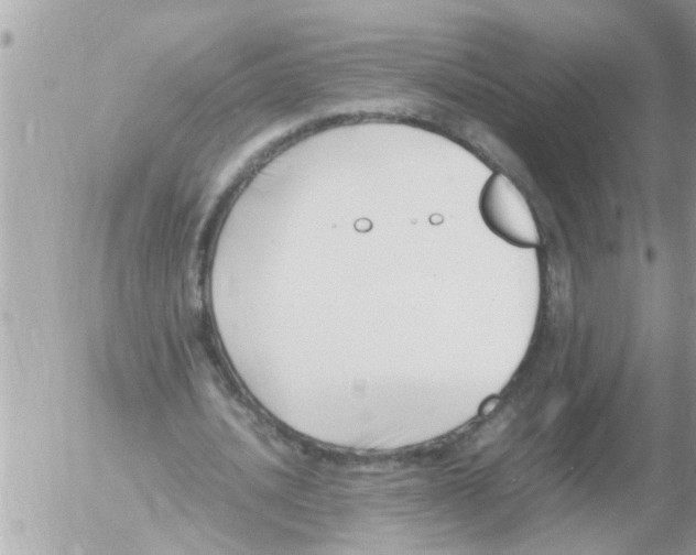 X0000054430628200508262348