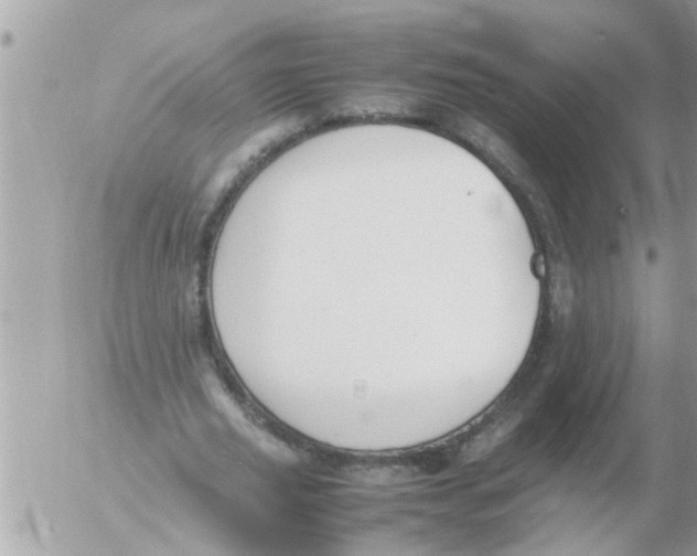 X0000054430629200508262348