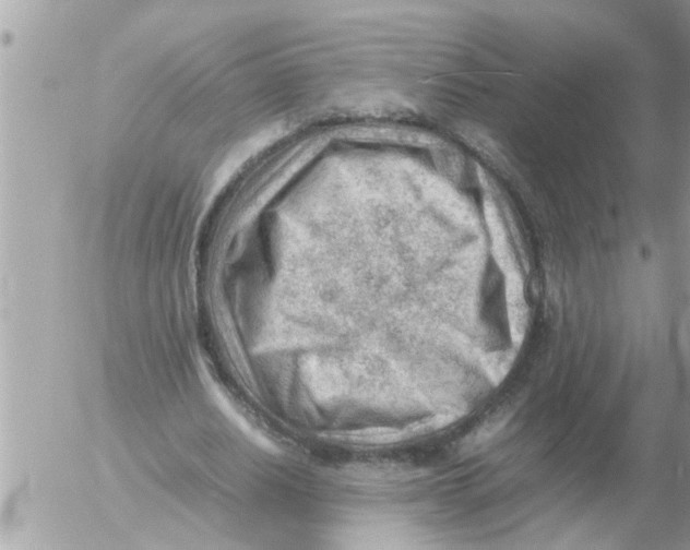 X0000054430630200508262348