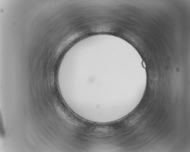 X0000054430631200508262348