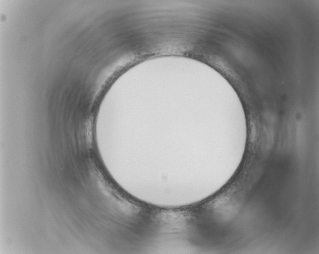 X0000054430632200508262348