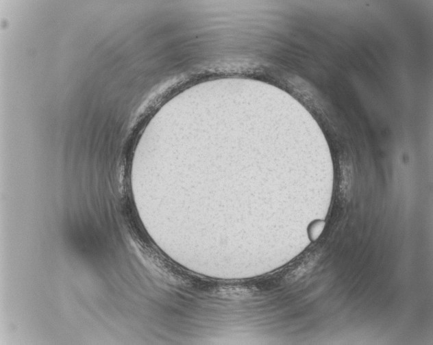 X0000054430636200508262348