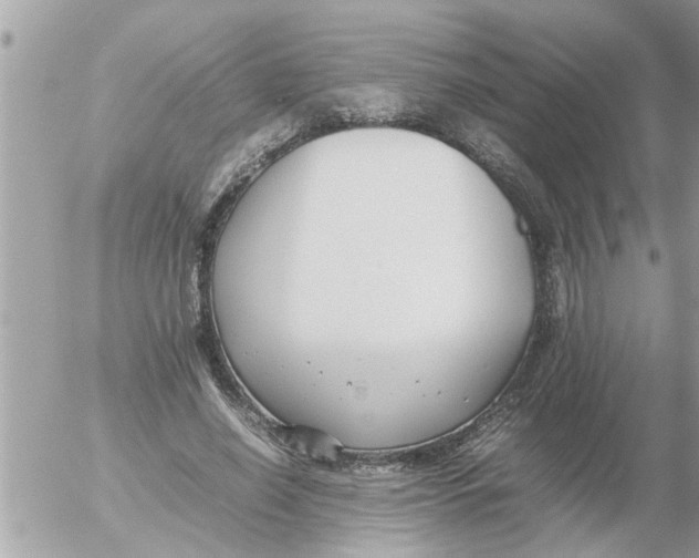 X0000054430638200508262348