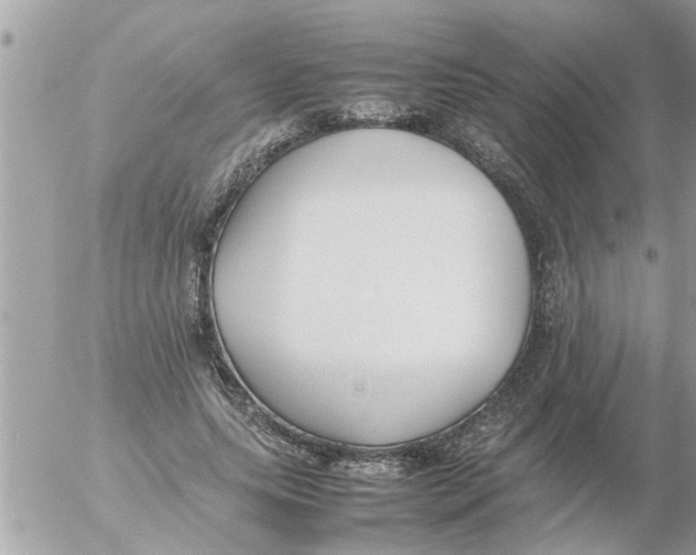 X0000054430639200508262348